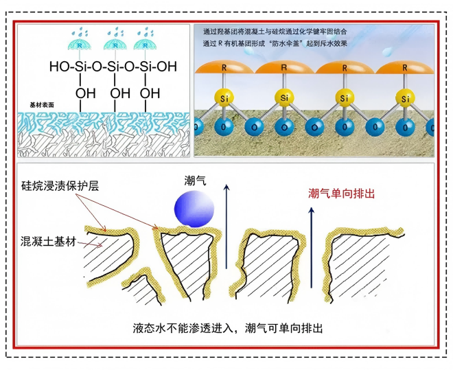 1749780902893939.png 11.png